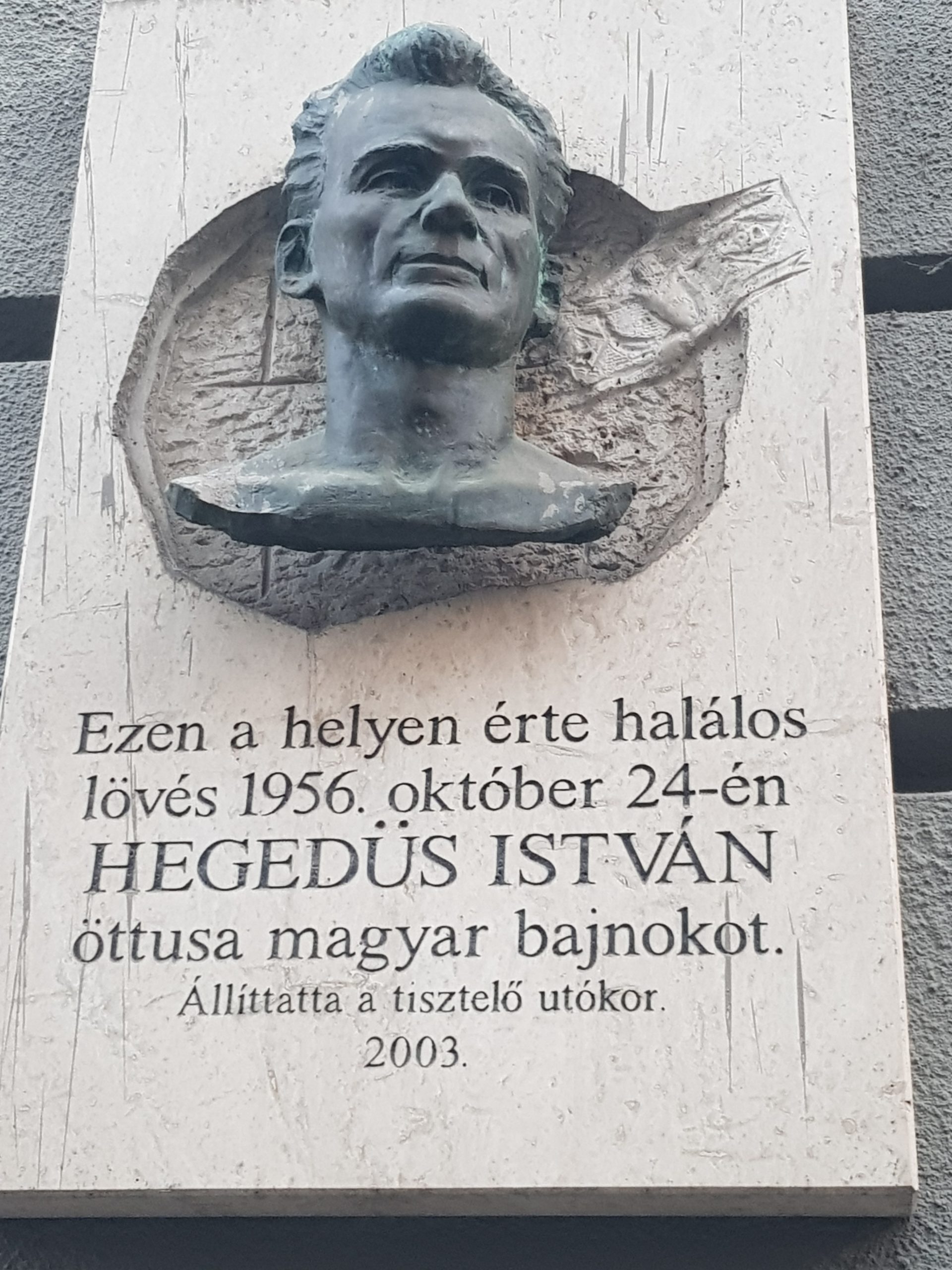 Hegedűs István öttusázó magyar bajnok